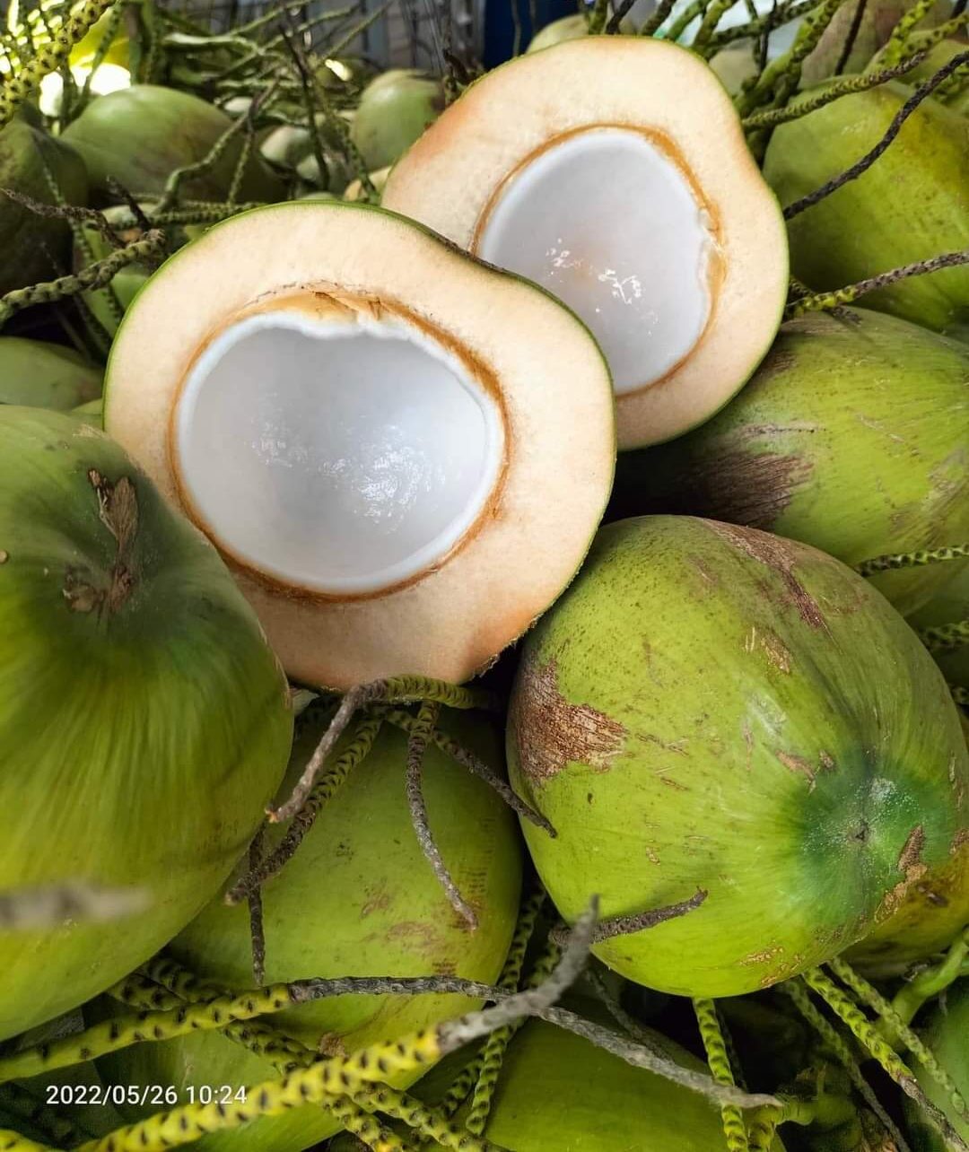 IMG 20250705 WA0013 e1761909852627