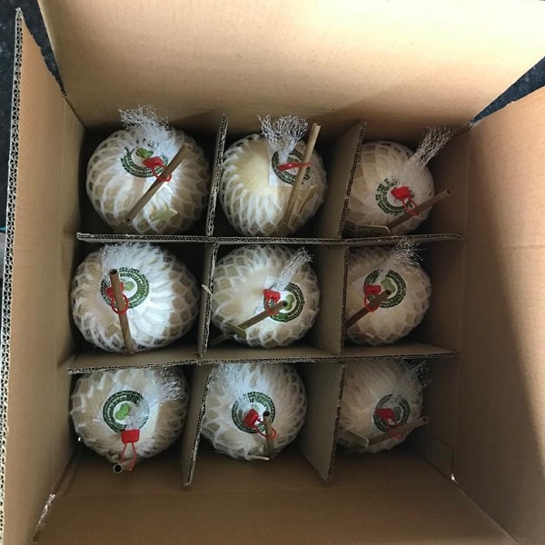 WhatsApp Image 2025 10 29 at 3.37.50 PM