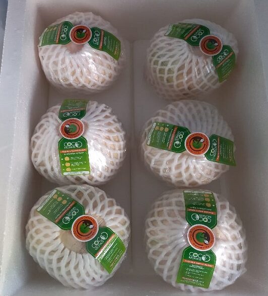 diamond cut coconut 2 e1761905114297