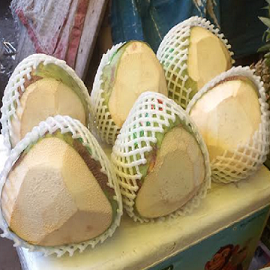 semi trimmed coconut 1