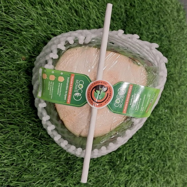 semi trimmed coconut