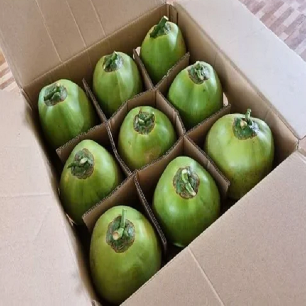 tender green coconut
